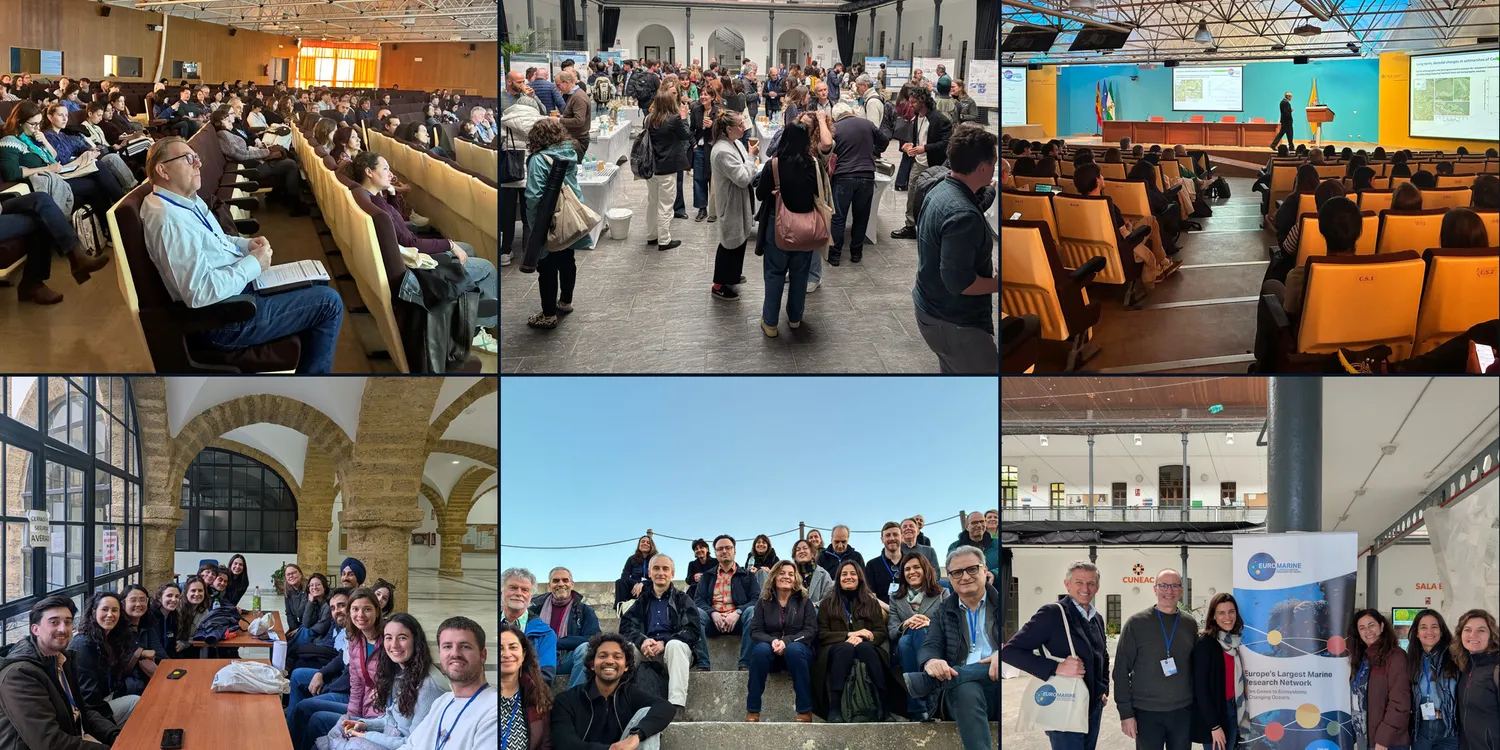 image-55326c7a8d525d3d87a15232693843fbab3c5677-3600x2400-png